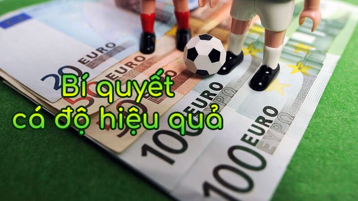 Lưu ý khi áp dụng Mẹo Cá Cược Bóng Đá
